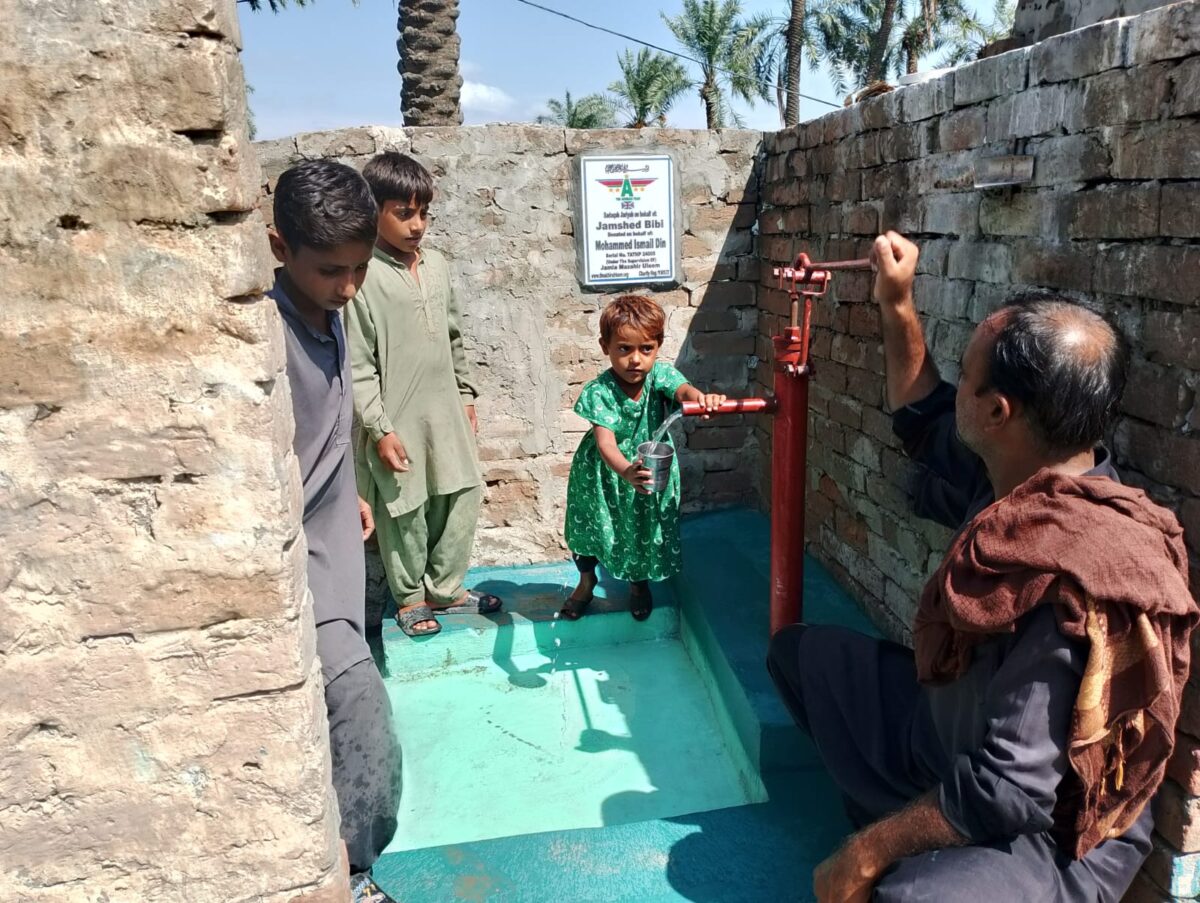 Handpump Image 2