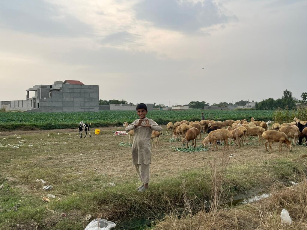 WhatsApp Image 2022-11-05 at 11.57.44 AM Qurbani